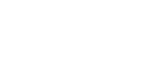 DCD Let pets dreams come true